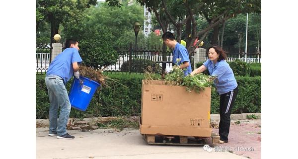 ▌長嶺紡電新聞 ▌迎接國衛(wèi)復審，長嶺紡電在行動！ ——長嶺紡電公司黨總支組織愛衛(wèi)義務勞動